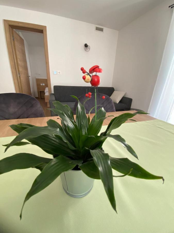 New Apartments Teravila Rateče Zewnętrze zdjęcie